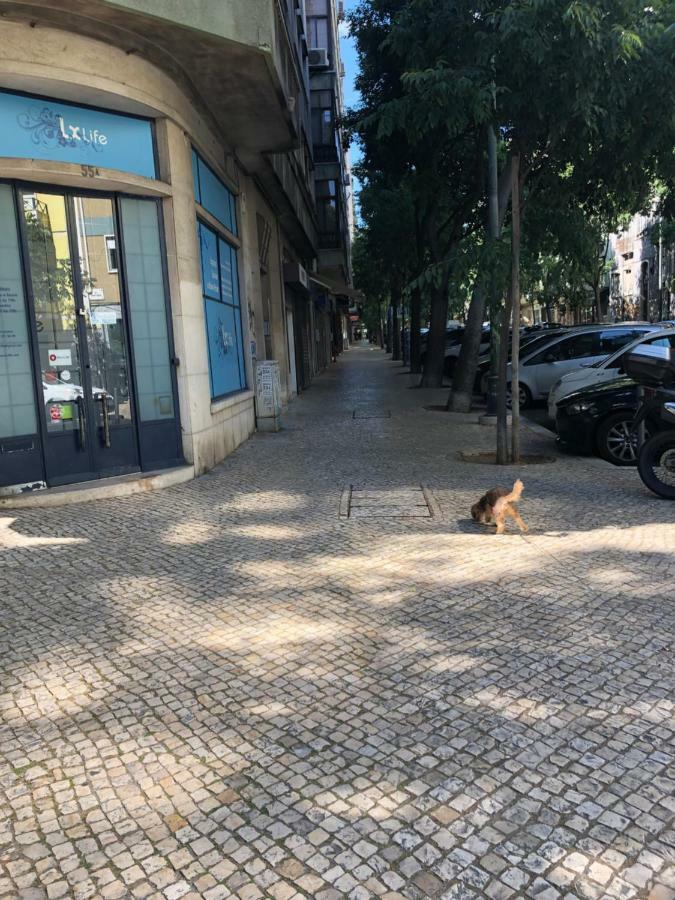 99 Flowers Flat Lisbon Luaran gambar